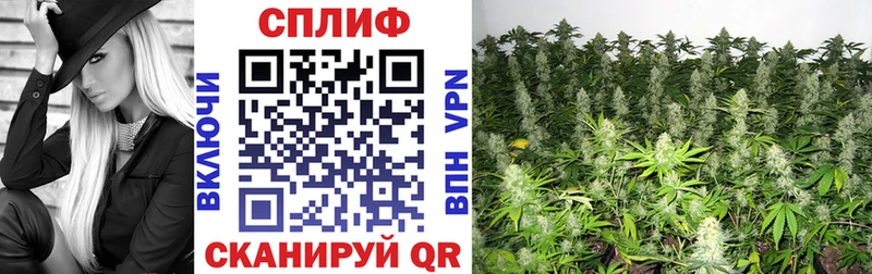 Гашиш Тавда